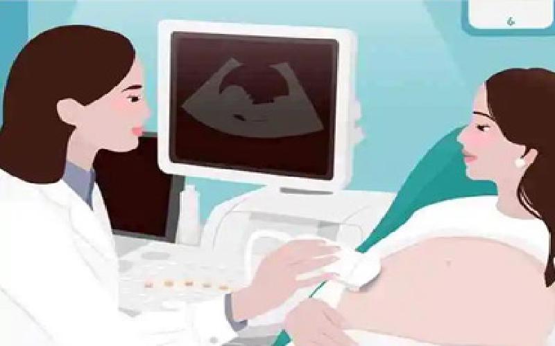 试管架圆形代生