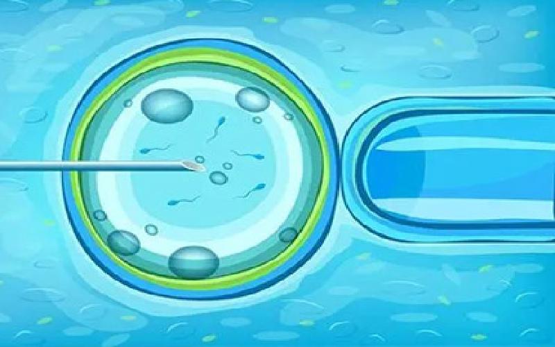 三代试管gdp代生